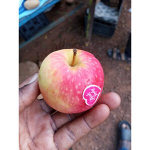 Pomme rouge
