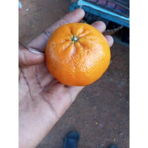Mandarine