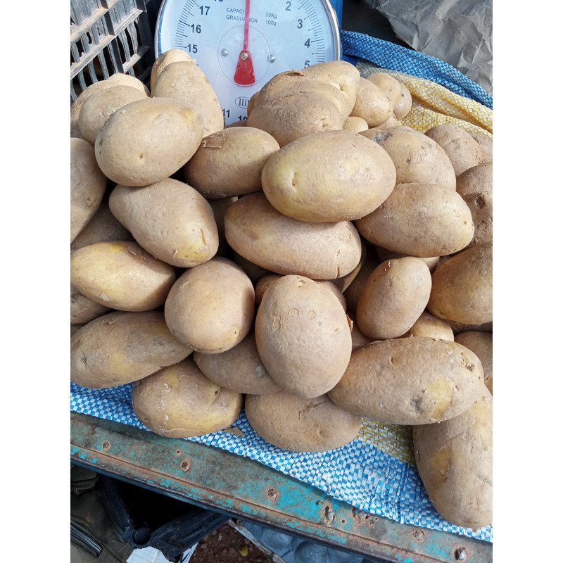 Pomme de terre đ„đ„