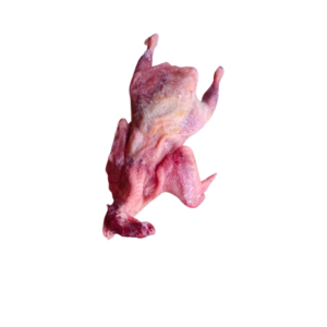 Poulet en carton