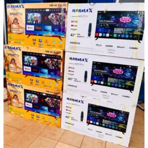 Télévision HASMAX écran 43